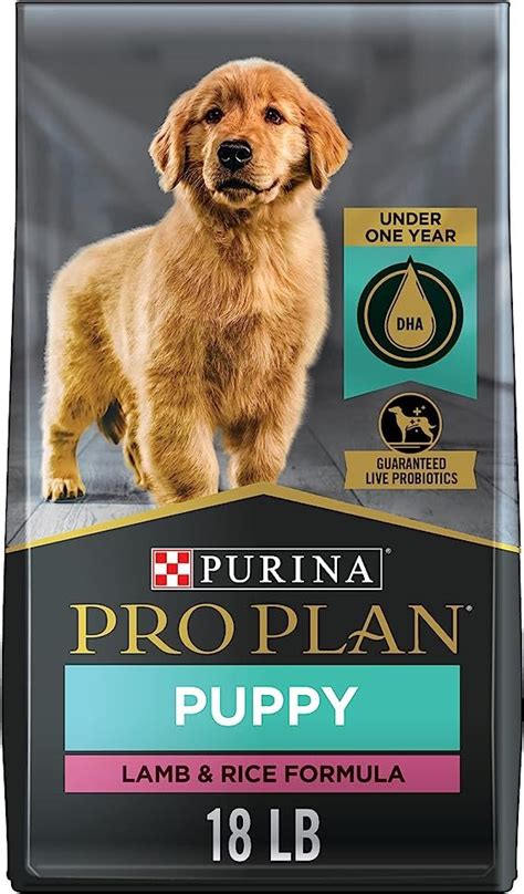 are there affordable doggie vitamins
